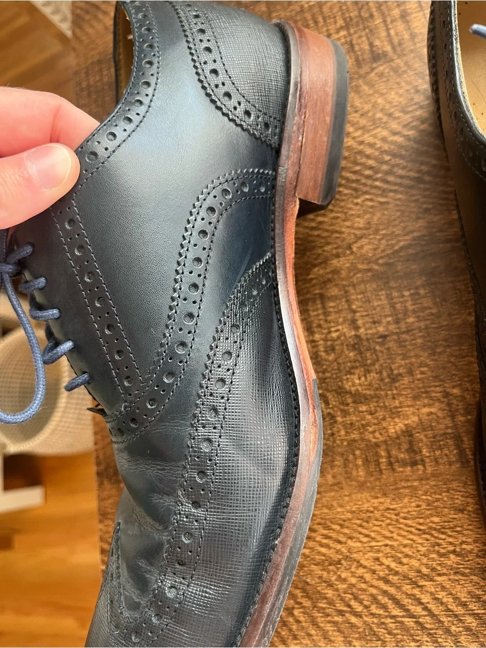 Cole Haan Men's Navy Blue Wingtip Oxfords